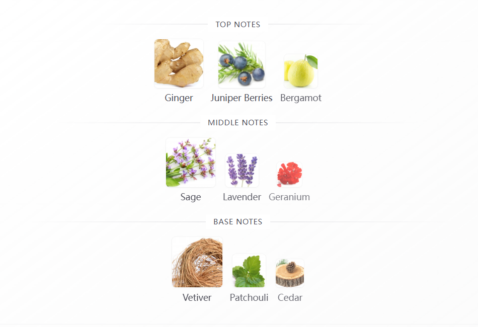 Eau de Parfum 100ml