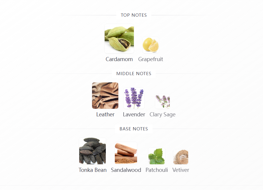 Night Perfume 100ml
