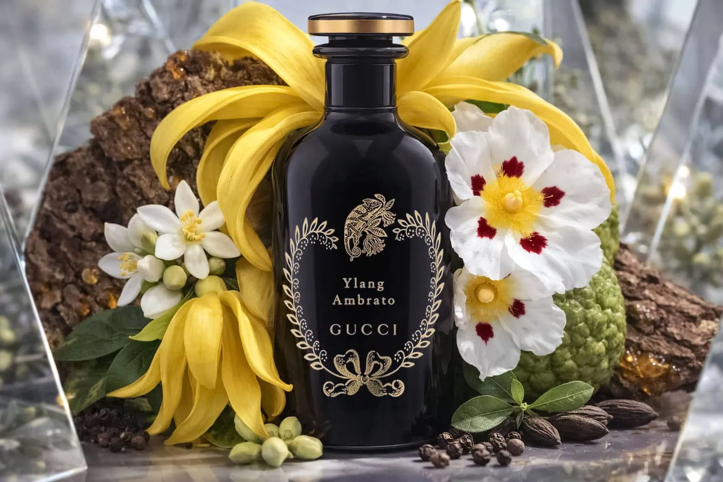 Ylang Ambrato  100ml